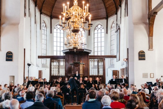 Afbeelding Regeling vrijetijdskunst Westland groot succes!