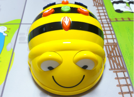 Botje Bij