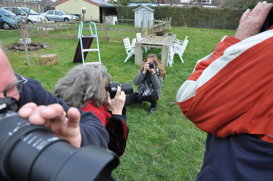 Afbeelding Fotografie
