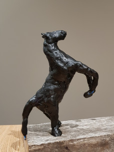 Afbeelding 'Man en paard' workshop