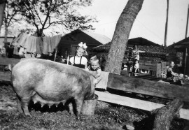 Erfgoedprikkel - Beestenboel