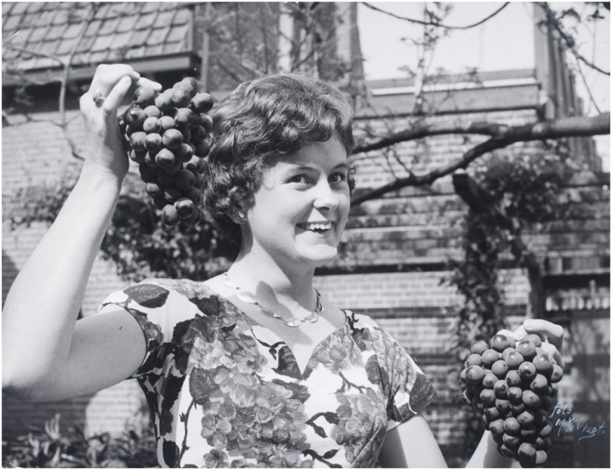 Achtergrondafbeelding Erfgoedprikkel - Westlands alfabet