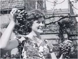 Erfgoedprikkel - Westlands alfabet