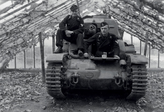 Afbeelding 80 jaar Vrijheid Westland