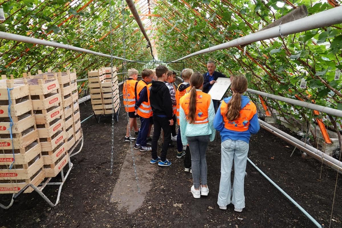 Achtergrondafbeelding Bezoek historische druivenkwekerij