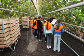 Bezoek historische druivenkwekerij