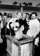 Lezing 'Koude oorlog in de dierentuin'